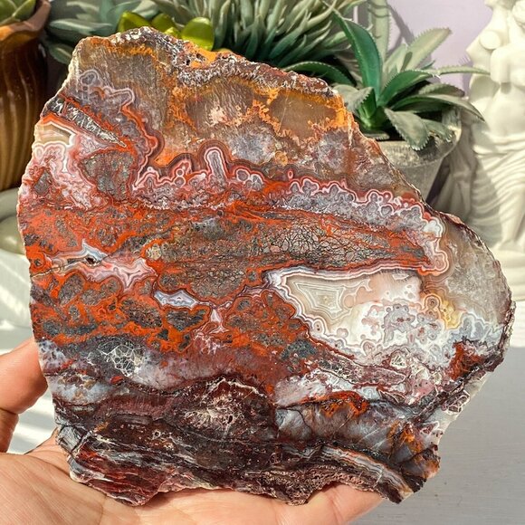 Natural Mexican Crazy Lace Agate Slab - Picture 1 of 10